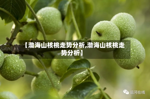 【渤海山核桃走势分析,渤海山核桃走势分析】-第3张图片