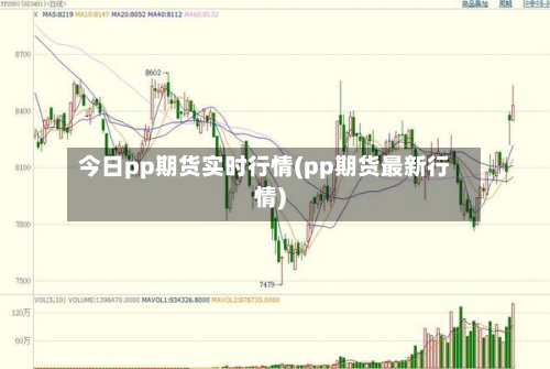 今日pp期货实时行情(pp期货最新行情)-第2张图片