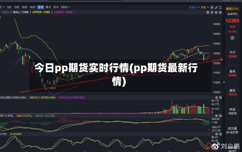今日pp期货实时行情(pp期货最新行情)-第3张图片