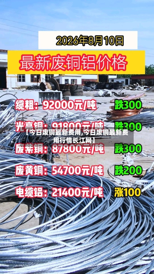 【今日废铜最新费用,今日废铜最新费用行情长江网】