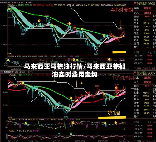马来西亚马棕油行情/马来西亚棕榈油实时费用走势-第2张图片