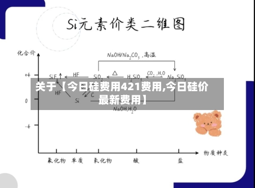 关于【今日硅费用421费用,今日硅价最新费用】-第2张图片