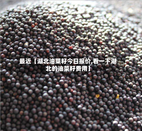 最近【湖北油菜籽今日报价,看一下湖北的油菜籽费用】