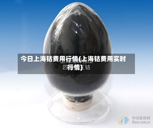 今日上海钴费用行情(上海钴费用实时行情)