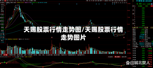 天赐股票行情走势图/天赐股票行情走势图片-第2张图片