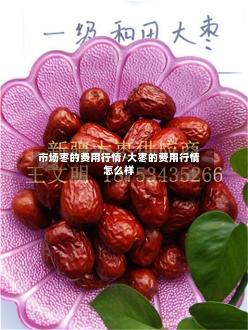 市场枣的费用行情/大枣的费用行情怎么样
