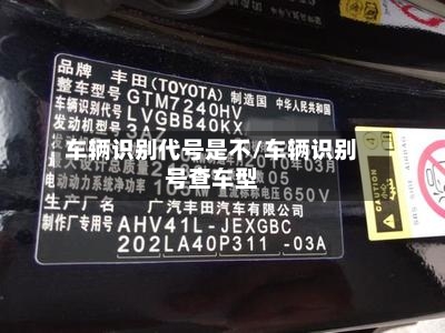 车辆识别代号是不/车辆识别号查车型-第2张图片