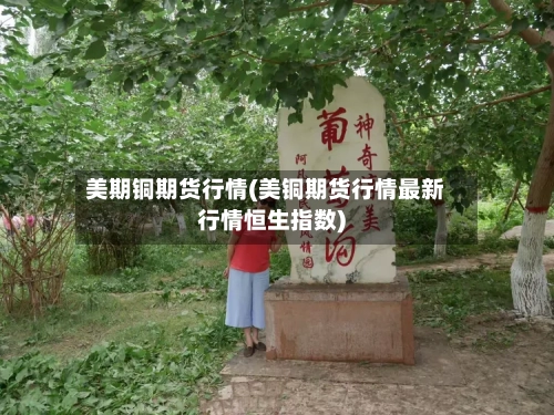 美期铜期货行情(美铜期货行情最新行情恒生指数)