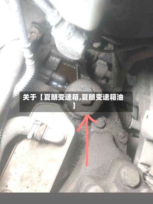 关于【夏朗变速箱,夏朗变速箱油】