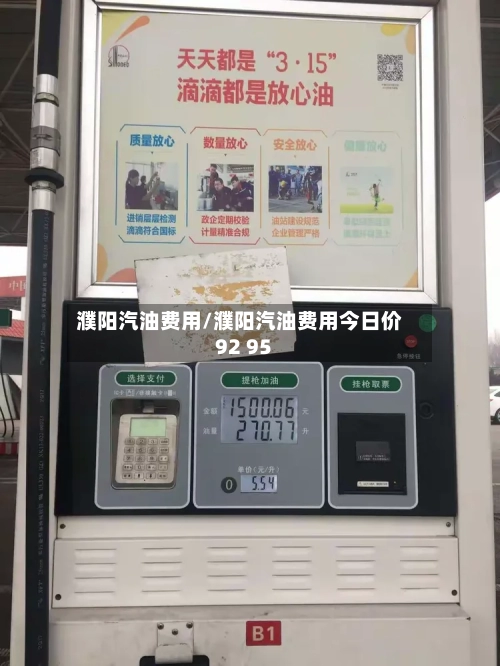 濮阳汽油费用/濮阳汽油费用今日价92 95-第2张图片