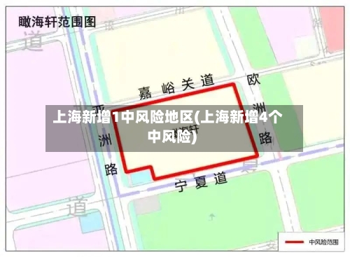 上海新增1中风险地区(上海新增4个中风险)-第2张图片