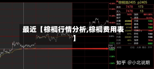 最近【棕榈行情分析,棕榈费用表】-第2张图片