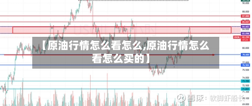 【原油行情怎么看怎么,原油行情怎么看怎么买的】-第3张图片