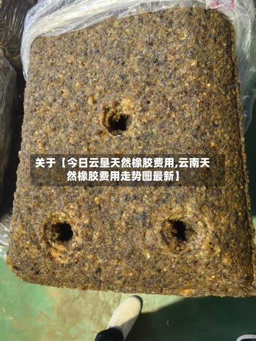 关于【今日云垦天然橡胶费用,云南天然橡胶费用走势图最新】