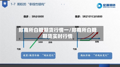 郑商所白糖期货行情一/郑商所白糖期货实时行情