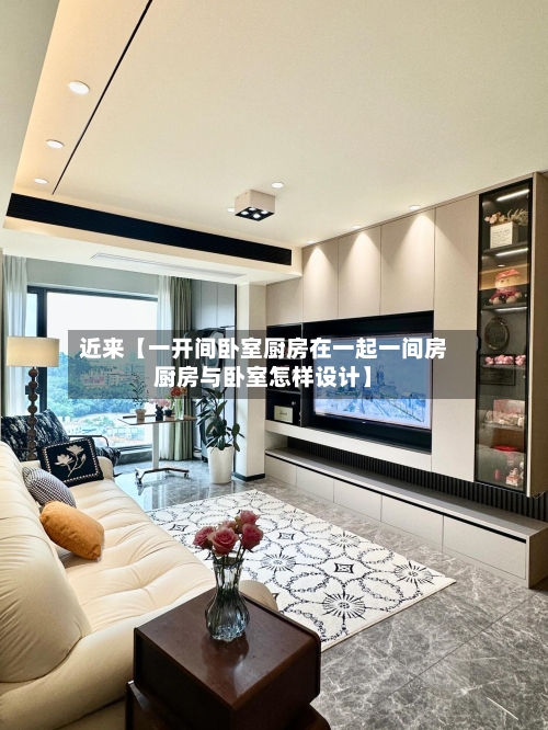 近来【一开间卧室厨房在一起一间房厨房与卧室怎样设计】-第2张图片