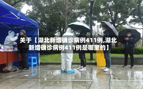 关于【湖北新增确诊病例411例,湖北新增确诊病例411例是哪里的】-第2张图片