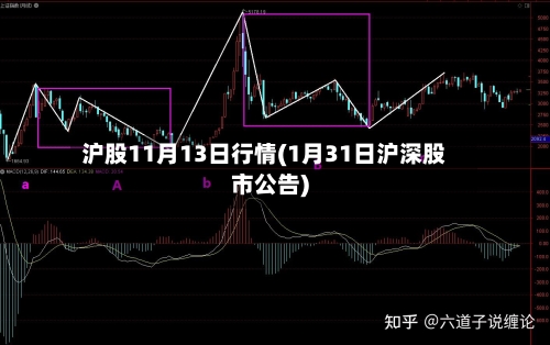 沪股11月13日行情(1月31日沪深股市公告)