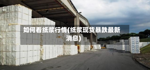 如何看纸浆行情(纸浆现货暴跌最新消息)-第2张图片