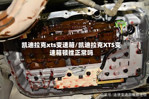 凯迪拉克xts变速箱/凯迪拉克XTS变速箱顿挫正常吗-第2张图片