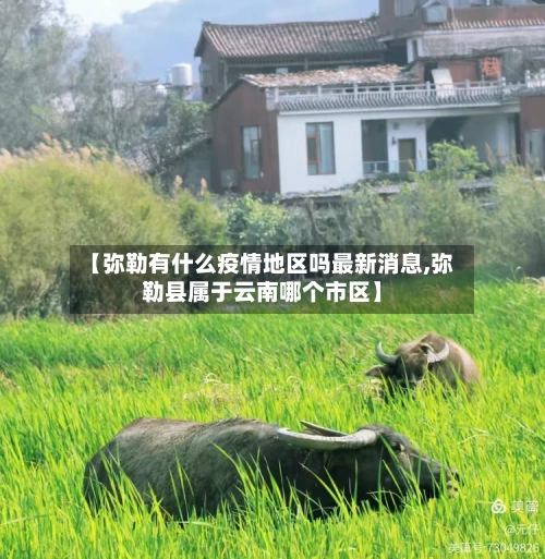 【弥勒有什么疫情地区吗最新消息,弥勒县属于云南哪个市区】