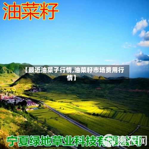 【最近油菜子行情,油菜籽市场费用行情】