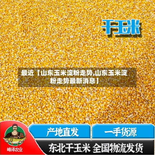 最近【山东玉米淀粉走势,山东玉米淀粉走势最新消息】-第3张图片