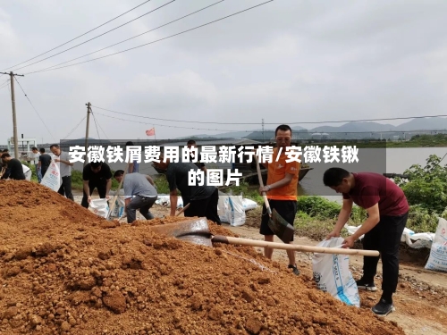 安徽铁屑费用的最新行情/安徽铁锹的图片-第2张图片