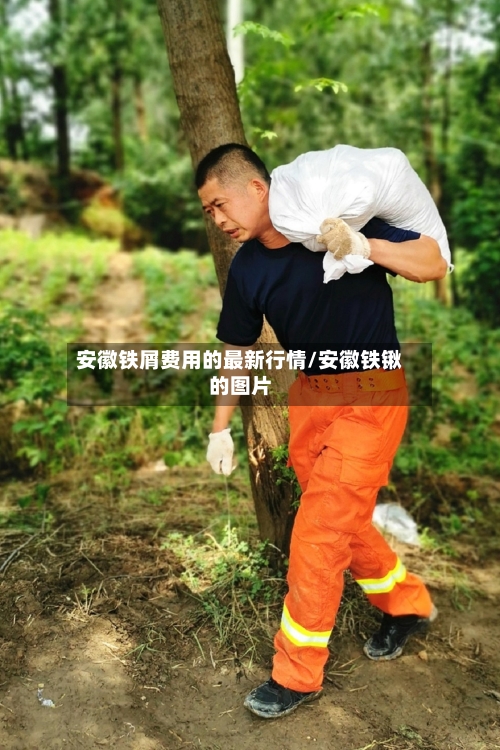 安徽铁屑费用的最新行情/安徽铁锹的图片-第3张图片