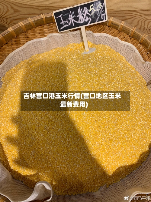 吉林营口港玉米行情(营口地区玉米最新费用)-第2张图片