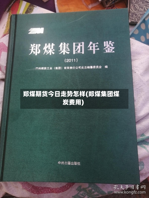 郑煤期货今日走势怎样(郑煤集团煤炭费用)