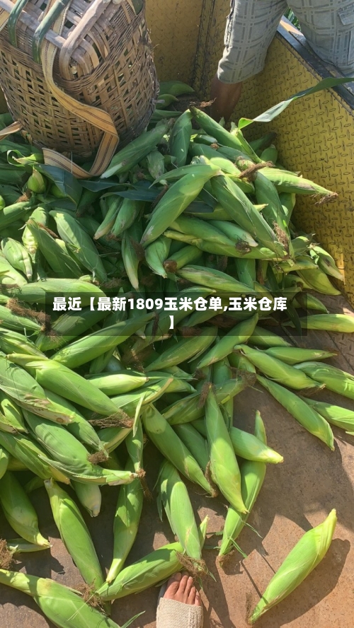 最近【最新1809玉米仓单,玉米仓库】