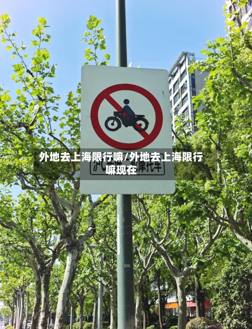 外地去上海限行嘛/外地去上海限行嘛现在-第2张图片