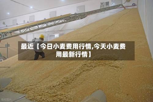 最近【今日小麦费用行情,今天小麦费用最新行情】-第2张图片