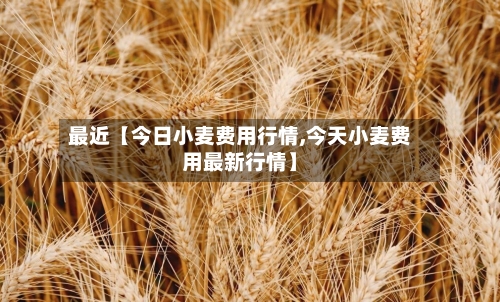 最近【今日小麦费用行情,今天小麦费用最新行情】