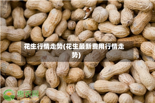 花生行情走势(花生最新费用行情走势)-第2张图片