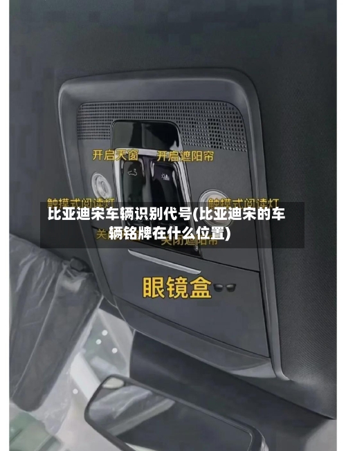 比亚迪宋车辆识别代号(比亚迪宋的车辆铭牌在什么位置)-第2张图片