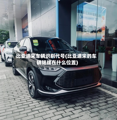 比亚迪宋车辆识别代号(比亚迪宋的车辆铭牌在什么位置)-第3张图片