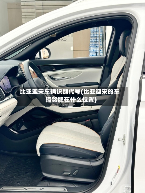 比亚迪宋车辆识别代号(比亚迪宋的车辆铭牌在什么位置)