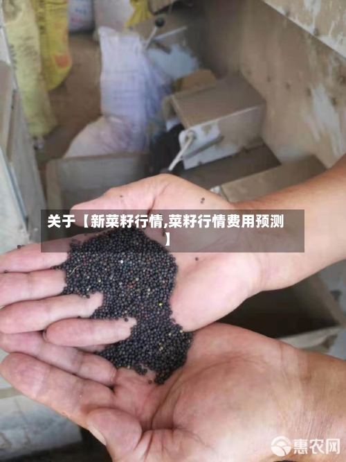 关于【新菜籽行情,菜籽行情费用预测】