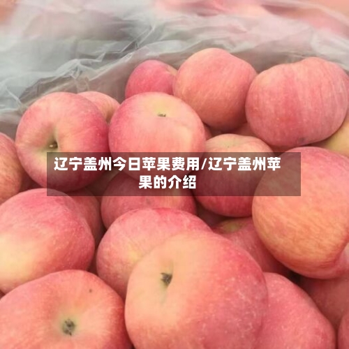 辽宁盖州今日苹果费用/辽宁盖州苹果的介绍