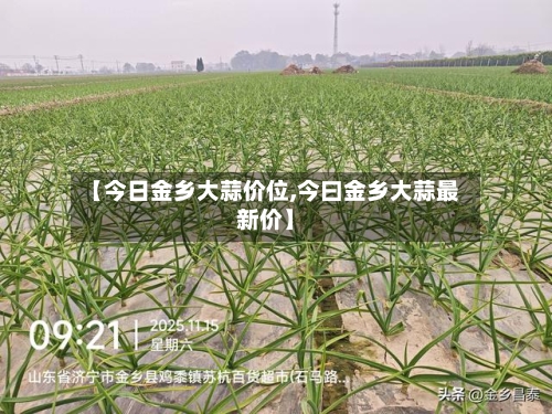 【今日金乡大蒜价位,今曰金乡大蒜最新价】