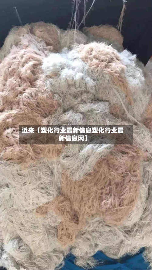 近来【塑化行业最新信息塑化行业最新信息网】-第2张图片