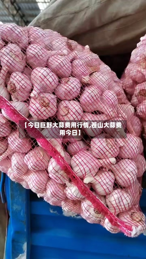 【今日巨野大蒜费用行情,苍山大蒜费用今日】