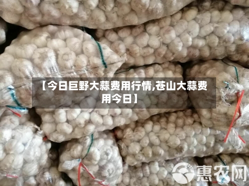 【今日巨野大蒜费用行情,苍山大蒜费用今日】-第2张图片