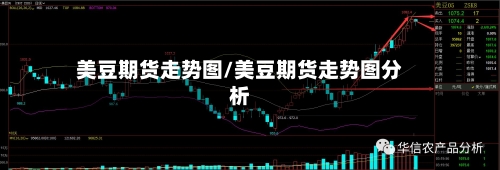 美豆期货走势图/美豆期货走势图分析