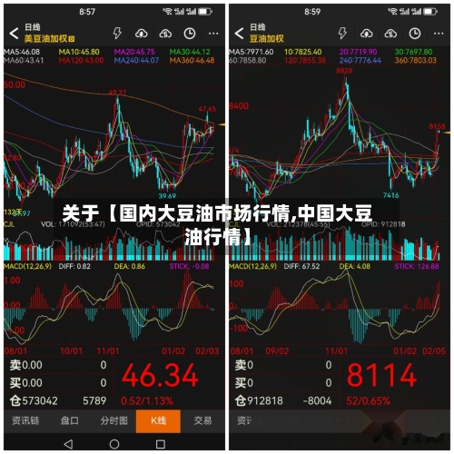 关于【国内大豆油市场行情,中国大豆油行情】