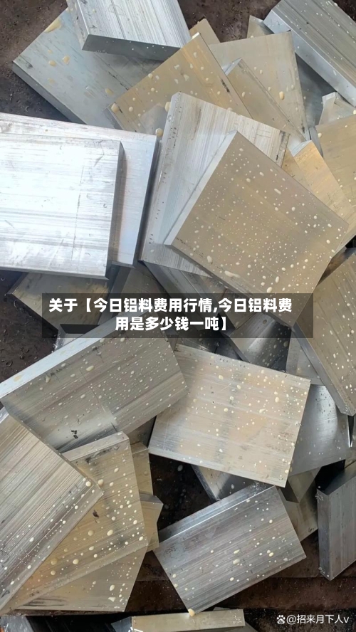 关于【今日铝料费用行情,今日铝料费用是多少钱一吨】-第2张图片