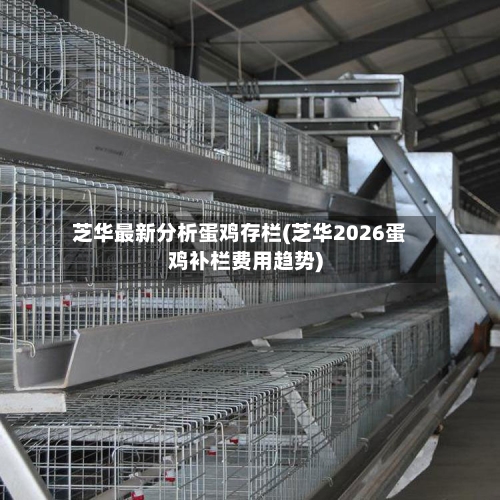 芝华最新分析蛋鸡存栏(芝华2026蛋鸡补栏费用趋势)
