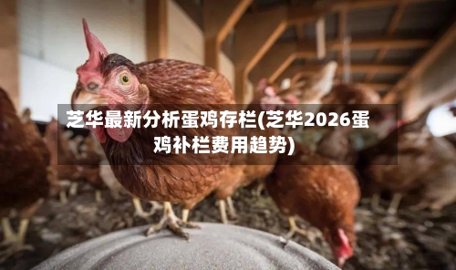 芝华最新分析蛋鸡存栏(芝华2026蛋鸡补栏费用趋势)-第2张图片